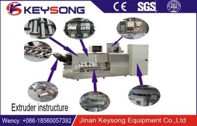 Jinan Puffed Extrusion Snack Food Machine Manufacturer