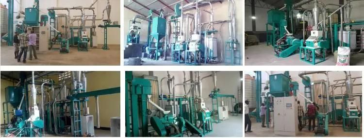 10t/24h Maize Flour Grinding Processing Milling Mill Machine for Africa