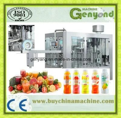 Fruit and Vegetable Juice Processing Plant