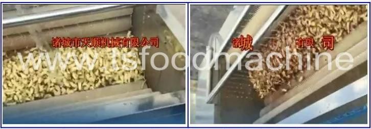 Brush Type Ginger Potato Cassava Washer and Washing Machine with Factory Price