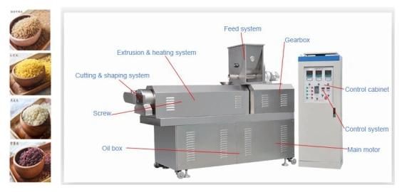 New Type High Repaid Nutritional Rice Equipment with Ce