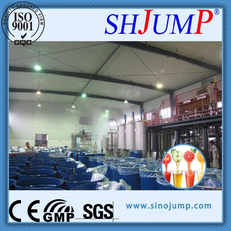 Avocado Puree Processing Line/Avocado Juice Processing Line