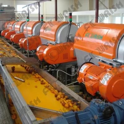 Automatic Mango and Orange Processing Line (2-40TPH)