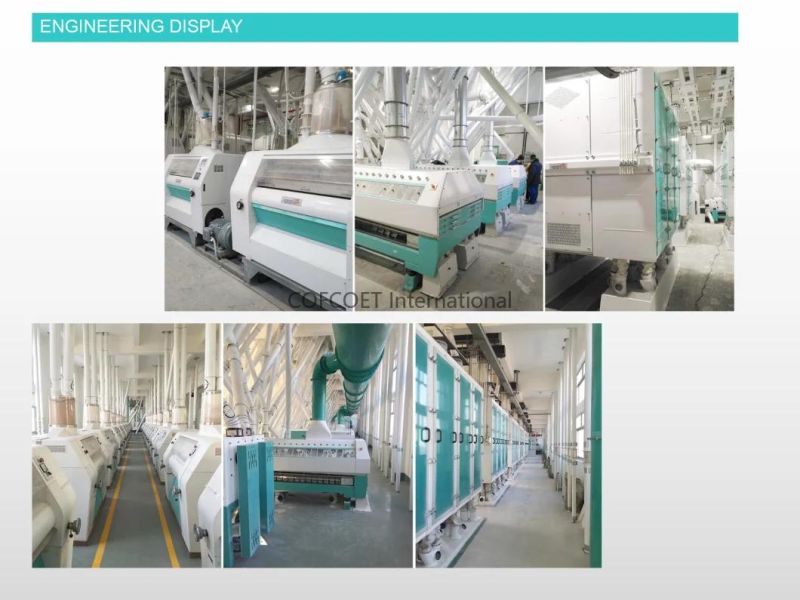 Global 500 Cofcoet Wheat Maize Rice Flour Complete Production Line