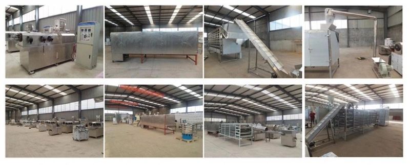 Professional Manufacture Animal Pet Feed Production Line