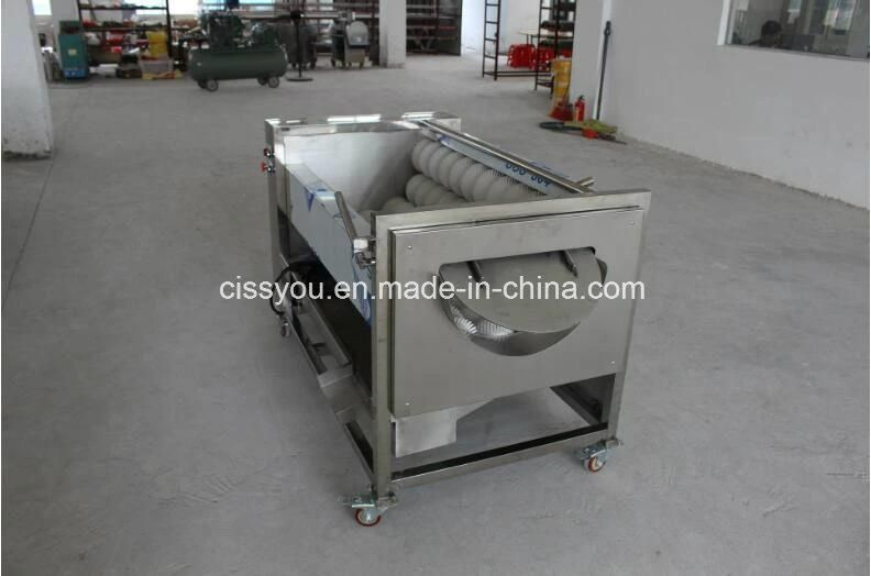 China Industrial Brush Type Root Vegetable Washing Peeling Machine