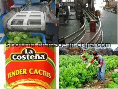 Nopal Processing Line / Cactus Production Plant