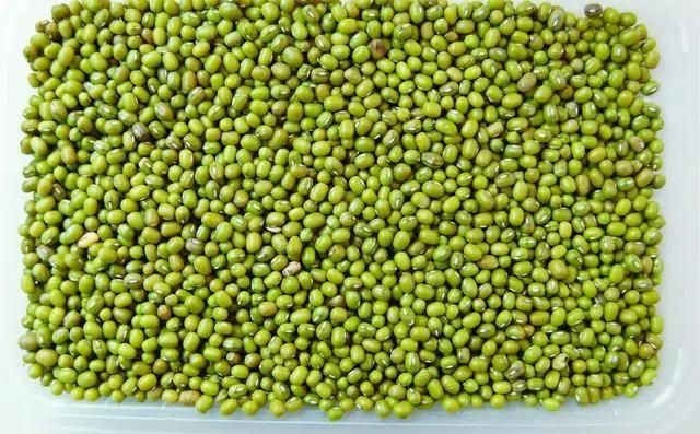 Beans Garbanzo Lentil Pea Splitting Peeling Machine Flour Line Technology Processing and Packaging South Africa