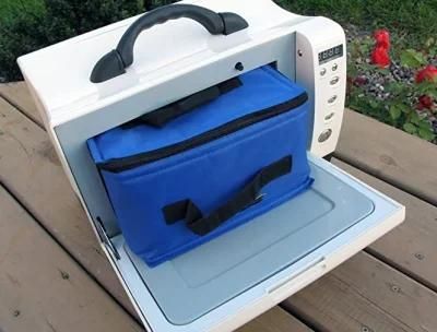Portable 12 Volt Electric Oven for Car