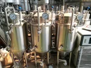 Stainless Steel 304 Homebrew Plant 100L Beer Brewing Equipment