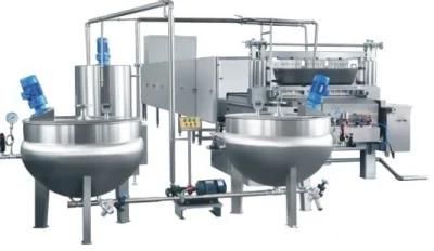 Fruit Leather Processing Line Puree Spreading Dosing and Drying System