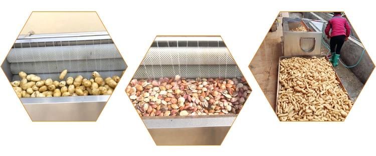 High Speed Line Vegetable Roller Washing Carrot Potato Peeling Machine