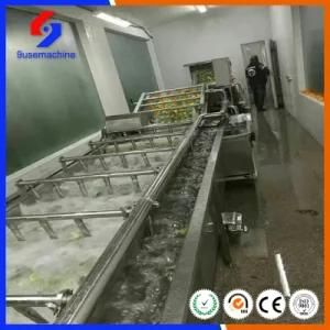 High Quality Stainless Steel Vegetables Washing Machine