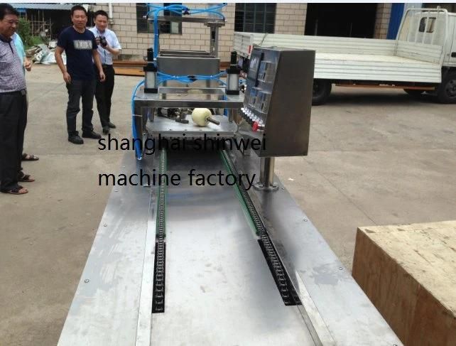 Starch Mogul Line for The Jelly Candy