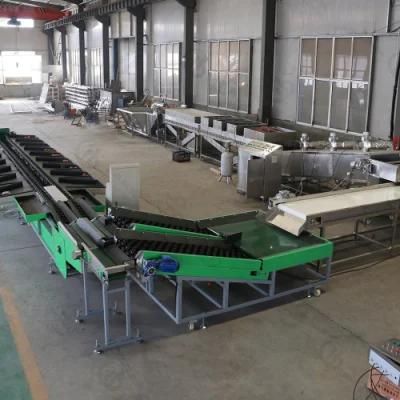 Kiwi Peach Washing Waxing Weight Grading Line for Food Processing