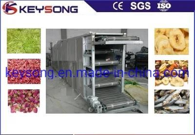 Vegetable Dehydrated Machine Fruit Dehydrator