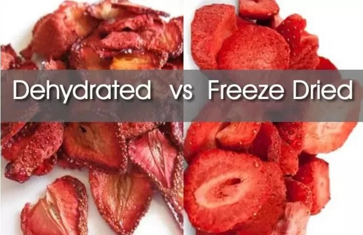 Dehydrator Fruit and Vegetables Strawberry Freeze Dryer Lyophilizer