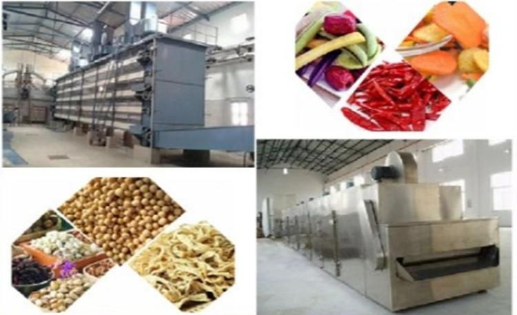 Sophisticated Technology Drying Equipment for Fruit Vegetable Processing Line