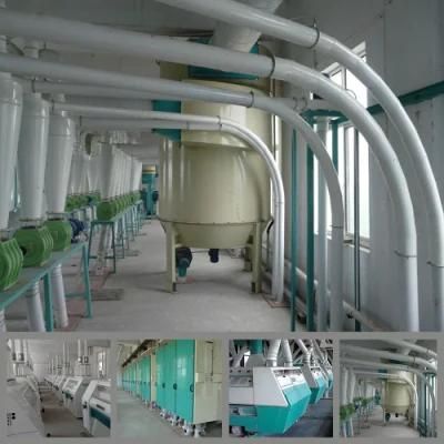Complete 300t/24h Wheat Flour Milling Plant with Price in Egypt