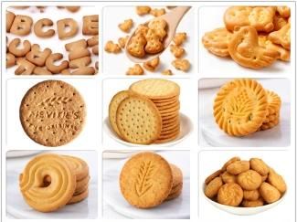 Soft Biscuit Production Line in China