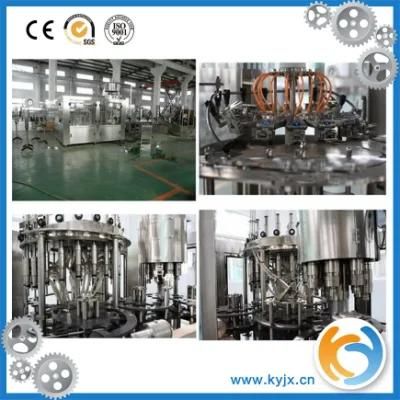 3000bph Automatic Pet Bottle Filling Machine/Bottling Machine Made in China
