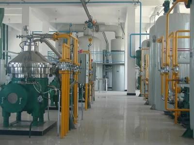 China Hot-Sale Walnut Oil Refinery