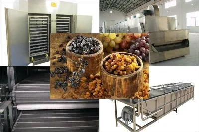 Equipment for High-Quality Raisin Production