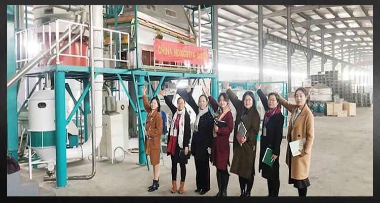 Africa Hot Sale 30t/24h Milling Maize Machine Maize Flour Mill