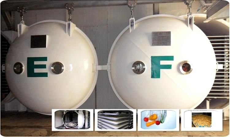 Freeze Dried Food Machine/Vegetable Fruit Meat Vacuum Freeze Dryer