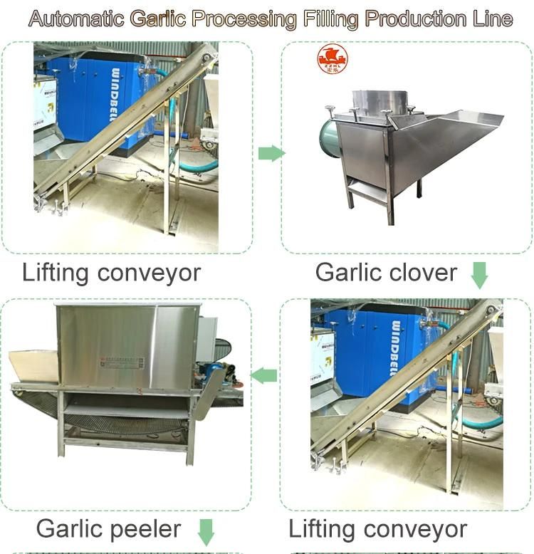 Garlic Cloves Filling Production Line with Liquid Nitrogen Full Automatic Garlic Peeling Machine