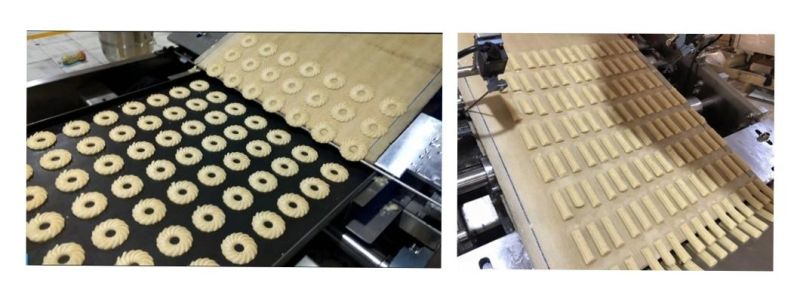 Small Tray Type Rotary Biscuit Making Machine Factory Direct Sale Price