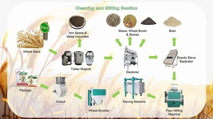 10t Flour Milling Equipment of Wheat Flour Mill