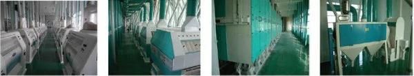 2021 Automatic 250tpd Wheat Flour Making Machine for Sale