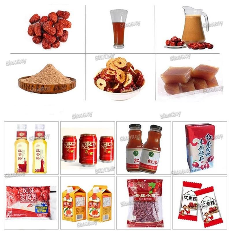 20-200kg Per Hour Red Dates Juice Red Dates Paste Processing Line