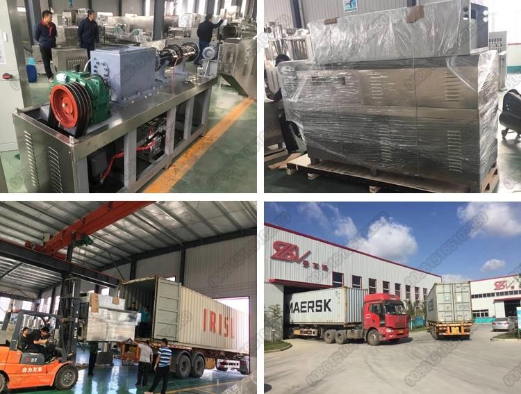Fish Feed Production Process Plant Line Aqua Feed Production Equipment