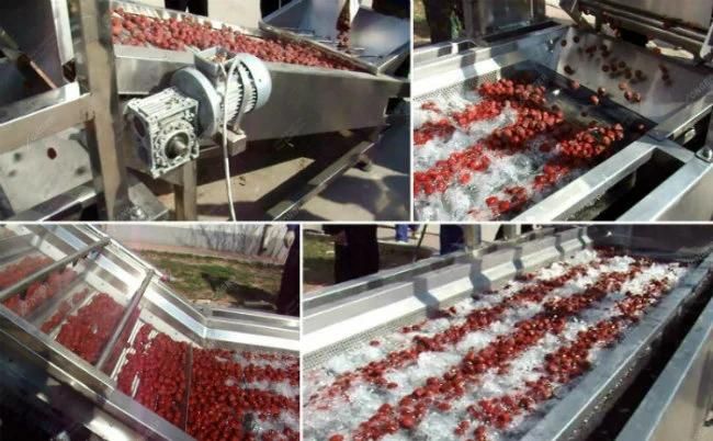 Factory Price Fruit Washing Machine for Sale