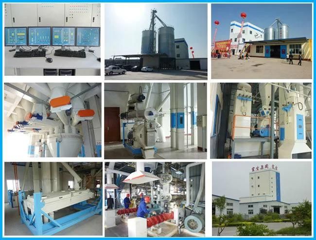 Feed Machinery Concentrate Feed Production Line for Pig