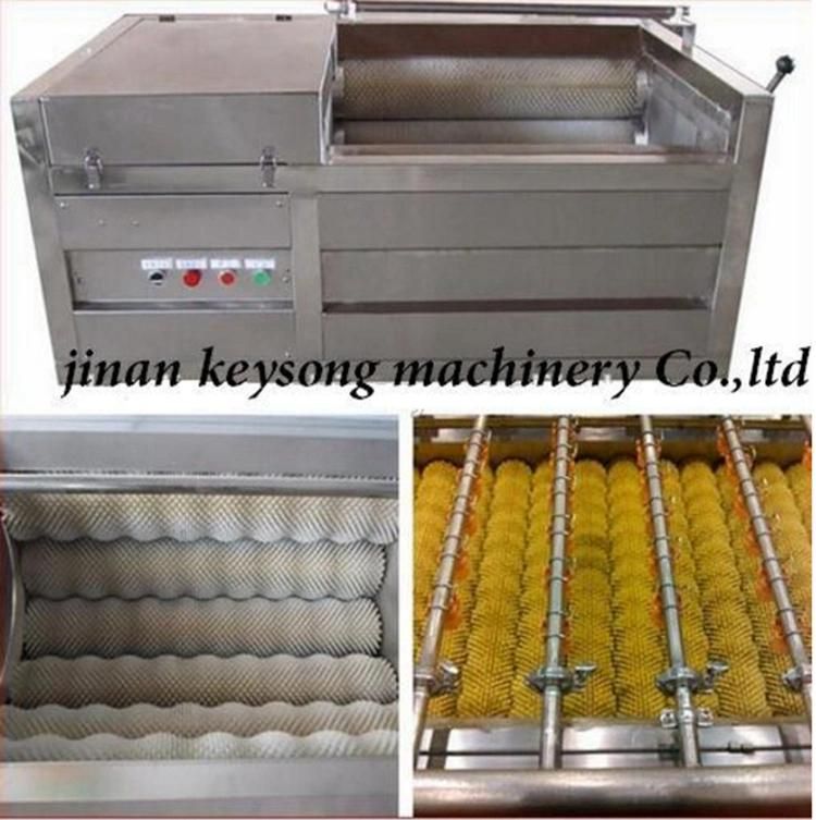 Ozone Sterilizing Brush Fruit Vegetable Cleaning Commercial Washing Machine