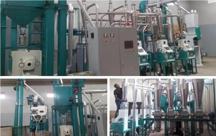 30tpd Maize Flour Milling Machines Corn Processing Plant