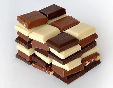 Chocolate Moulding Line (CD100)