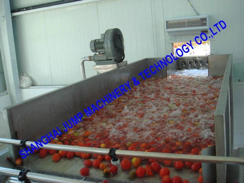 High Speed Tomato Sauce & Ketchup Processing Line/Processing Machine