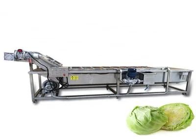 Automatic Washing Vegetable Fruit Cleaning Machine