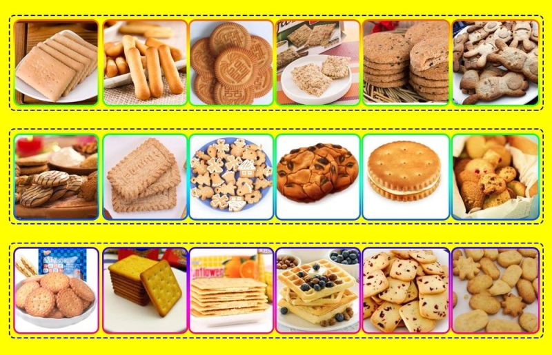 Soft and Hard Biscuit Production Line Biscuits Production Plant Molded Biscuit Equipment