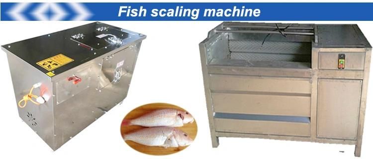 Fish Scaling Machine Fish Scaling Removing Machine