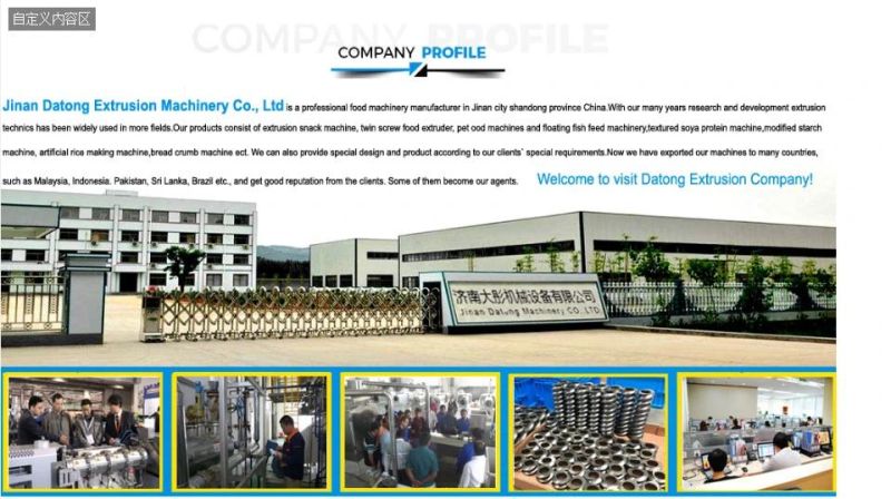 Popular High Capacity Kurkure Making Machine Plant