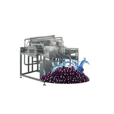 Factory Price Shanghai Full Automatic Popping Boba Production Line