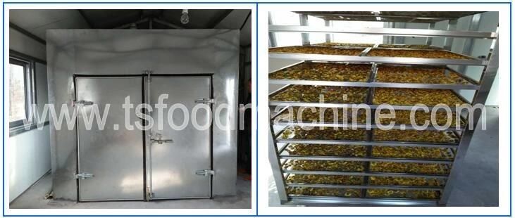 500kg Vegetable and Fruit Dryer Tomato Drying Machine