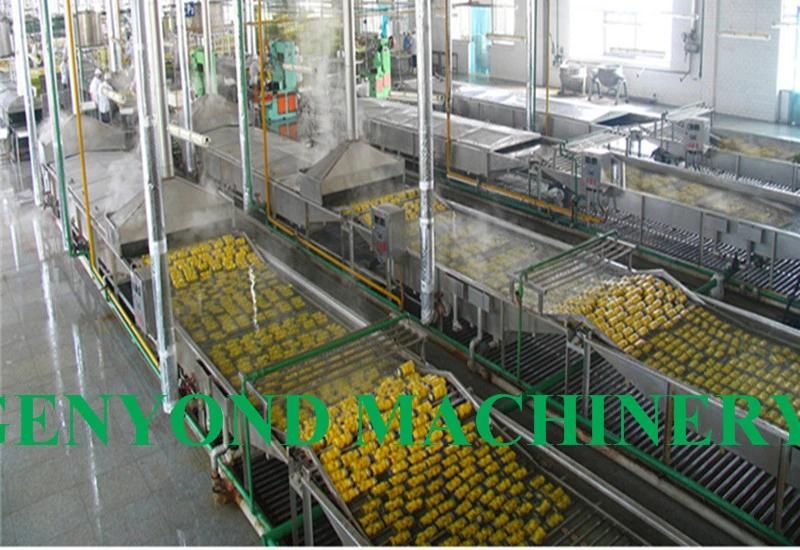 Complete Fruit in Syrup Production Line