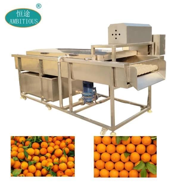 Orange Cleaning Machine Orange Brush Washing Machine