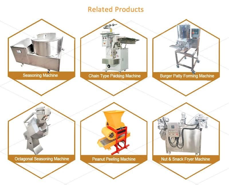 Factory Direct Supply Chicken Snacks Fish Peanut Fryer Machines Customizable